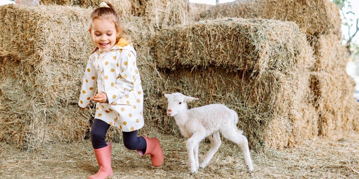 farm_parks_girl_lamb